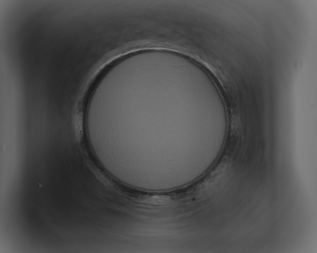 X0000100921503200807151210