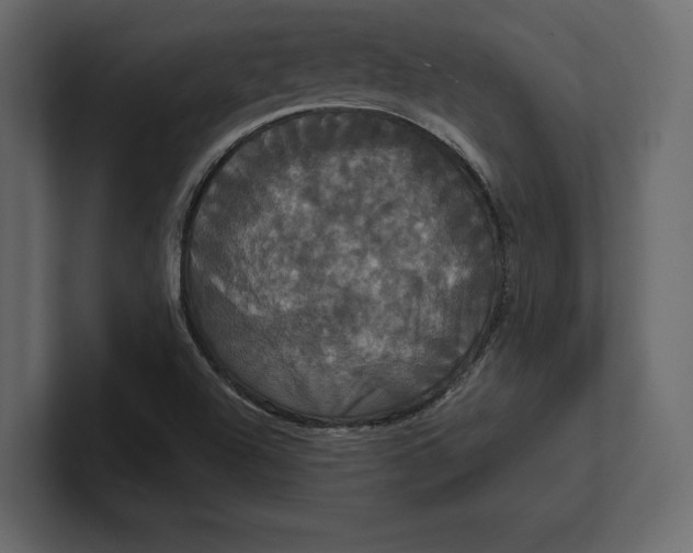 X0000100921504200807151210