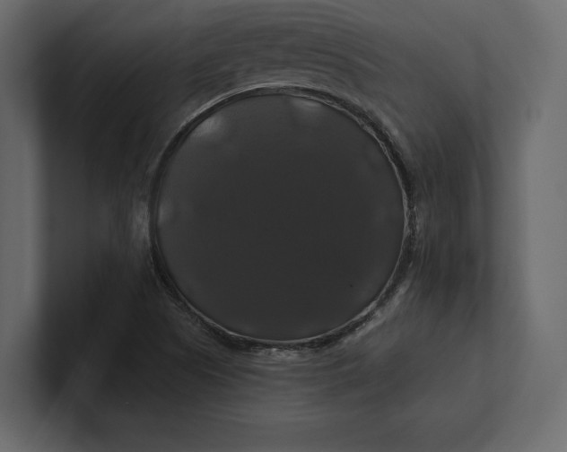 X0000100921505200807151210