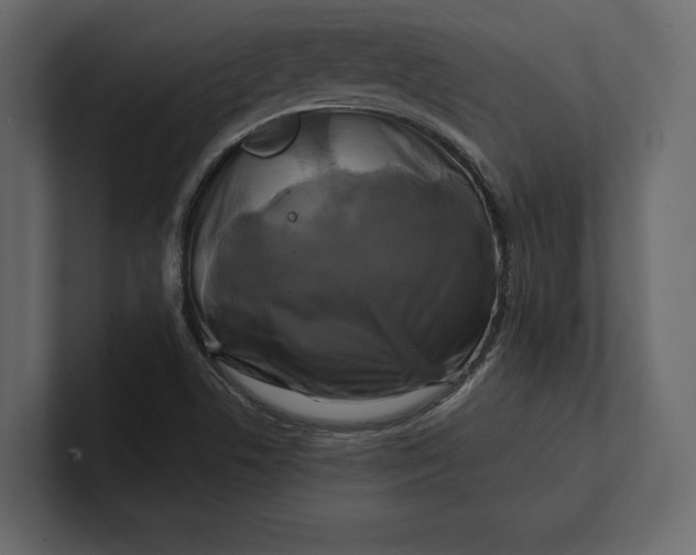 X0000100921506200807151210