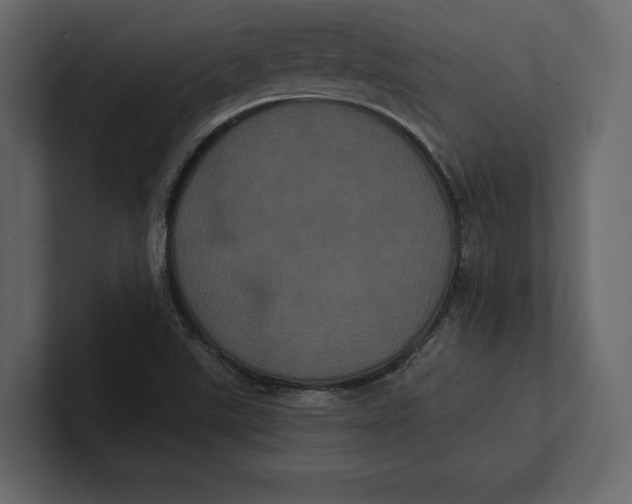 X0000100921507200807151210