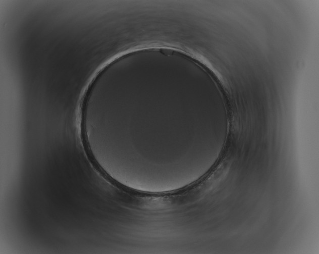 X0000100921508200807151210