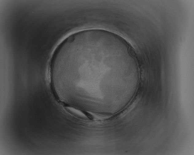 X0000100921510200807151210