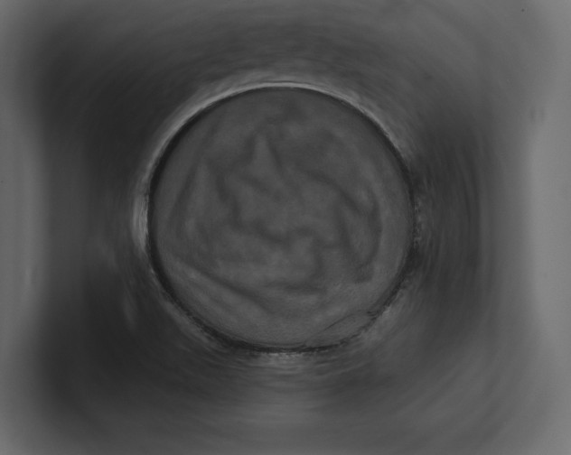 X0000100921511200807151211