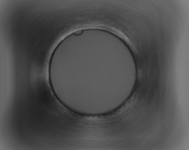 X0000100921512200807151211