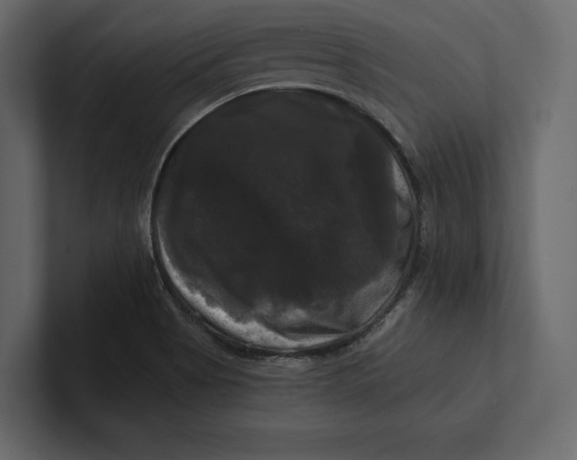 X0000100921513200807151211