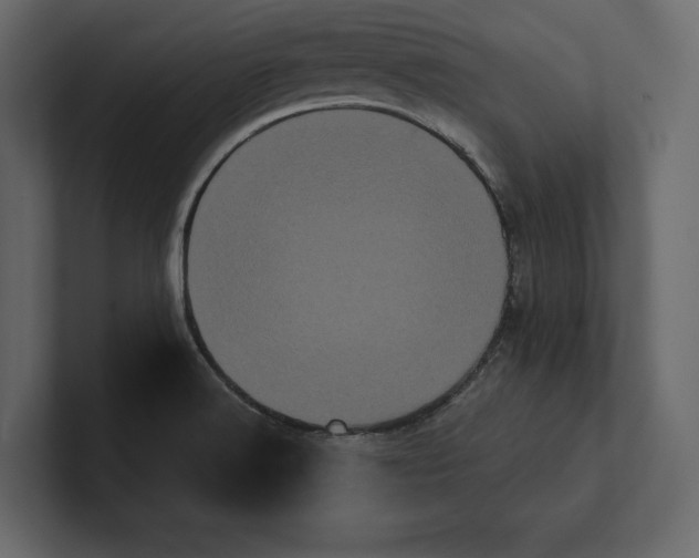 X0000100921516200807151211