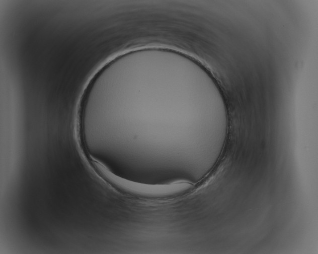 X0000100921518200807151211