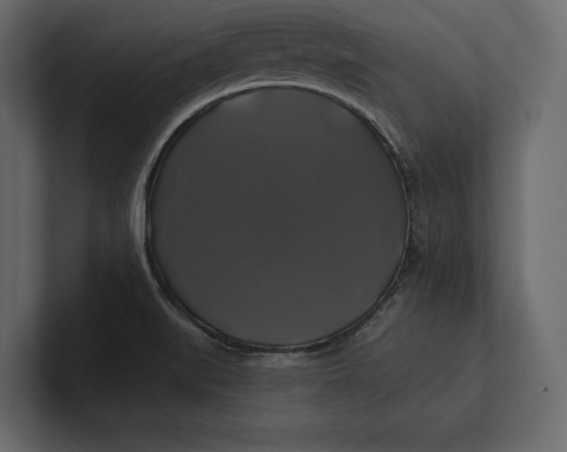 X0000100921519200807151211