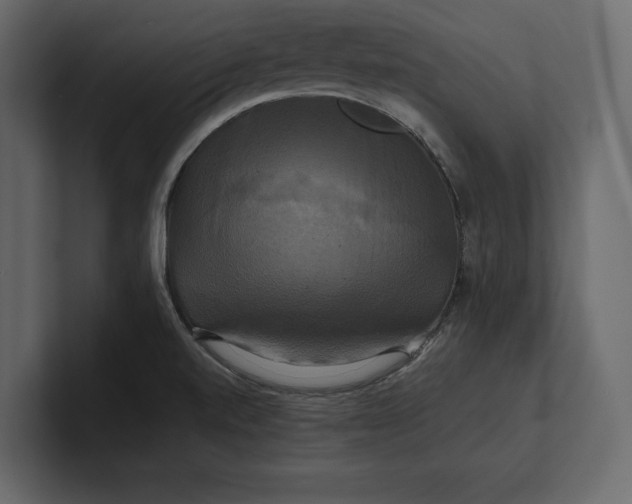 X0000100921520200807151211