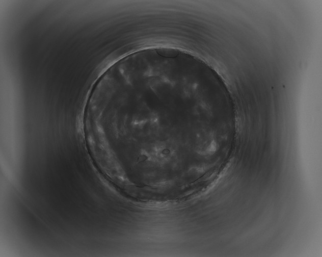 X0000100921521200807151211