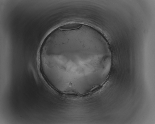 X0000100921522200807151211