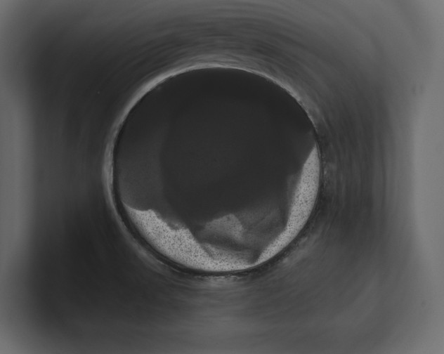 X0000100921523200807151211