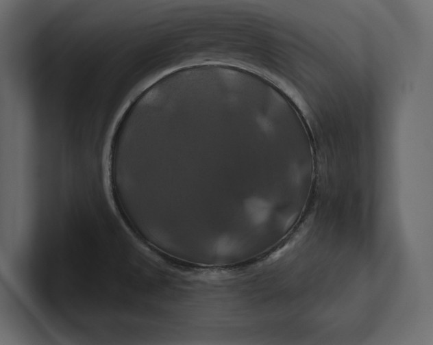 X0000100921525200807151211