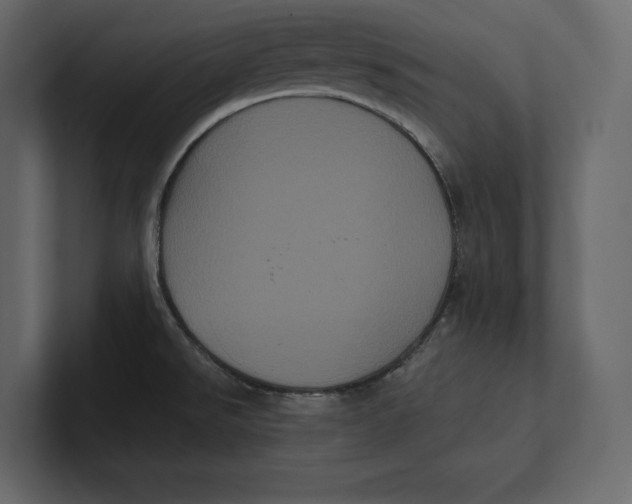 X0000100921526200807151211