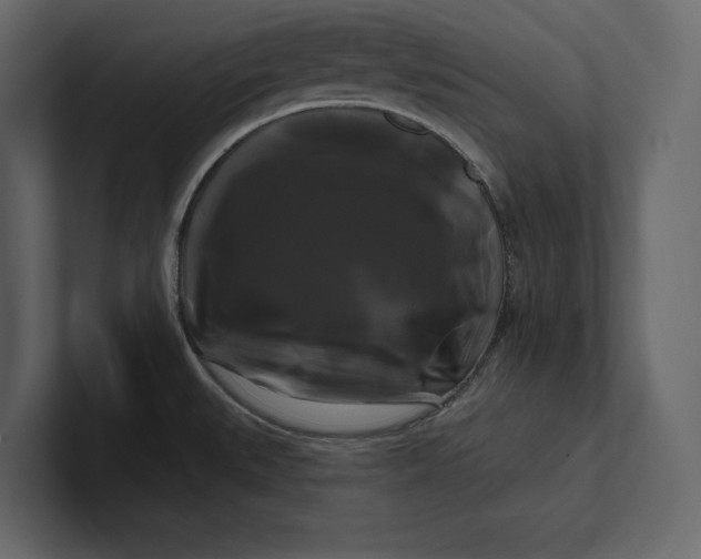 X0000100921527200807151211