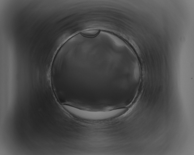 X0000100921529200807151211