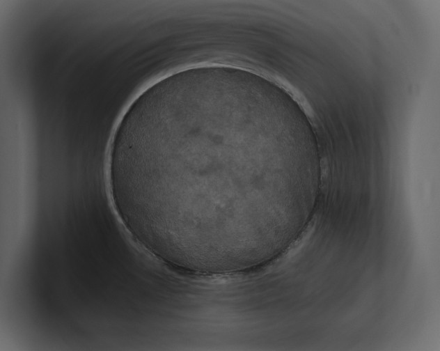 X0000100921530200807151211