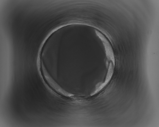 X0000100921531200807151211