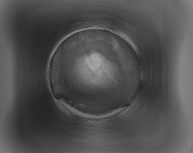 X0000100921532200807151211