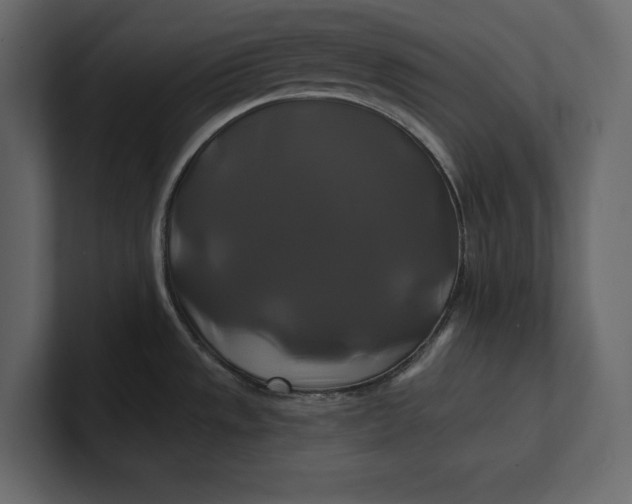 X0000100921533200807151211