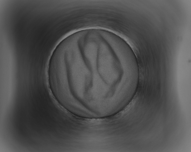 X0000100921534200807151211