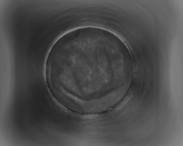 X0000100921535200807151211