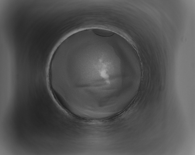 X0000100921536200807151211