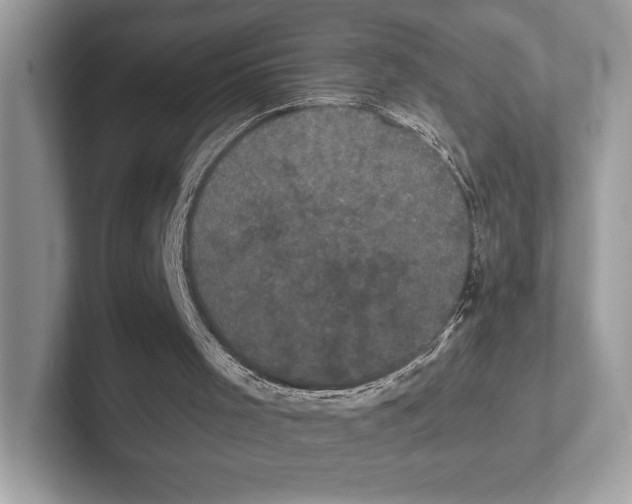 X0000100920001200807221126