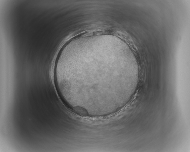 X0000100920003200807221126