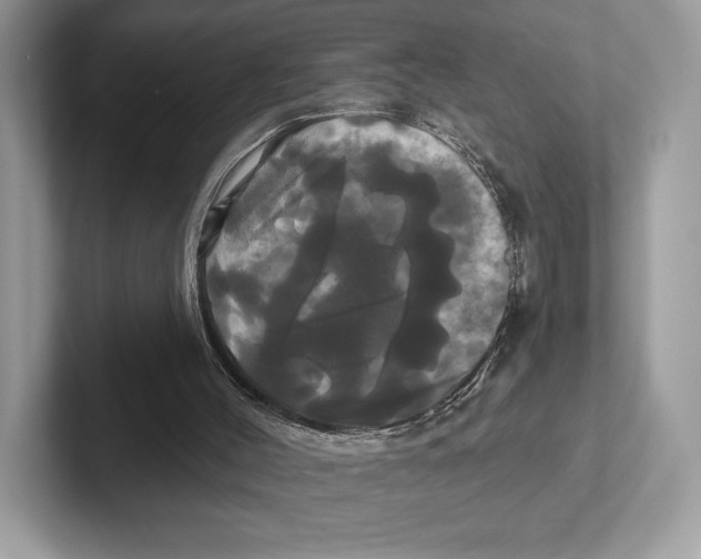 X0000100920004200807221126