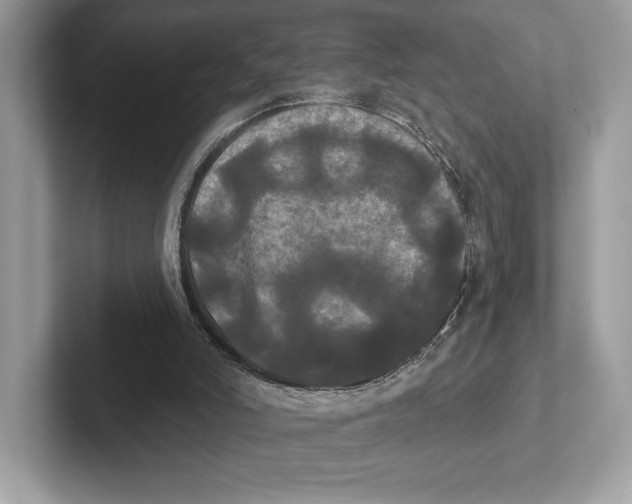 X0000100920006200807221126