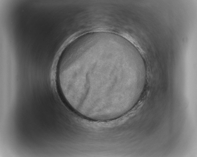 X0000100920007200807221126
