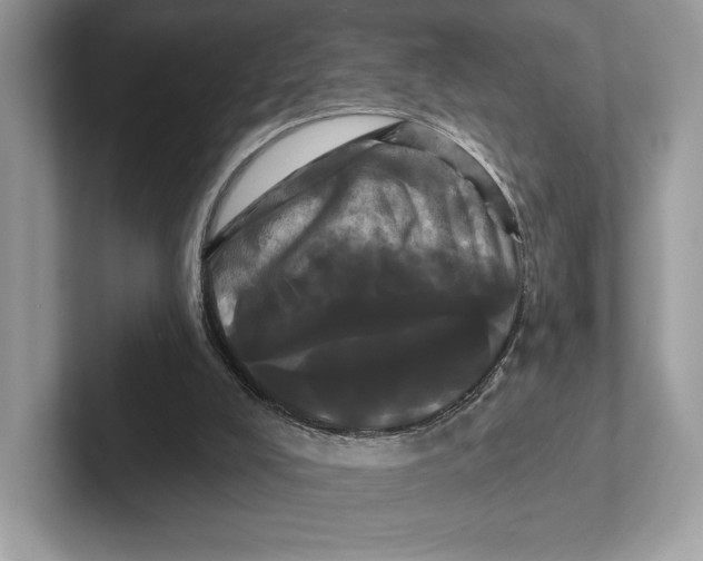 X0000100920008200807221126