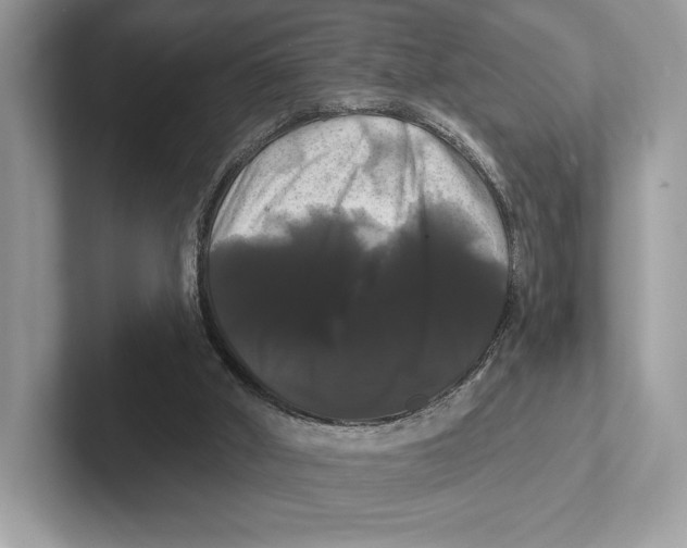 X0000100920010200807221126