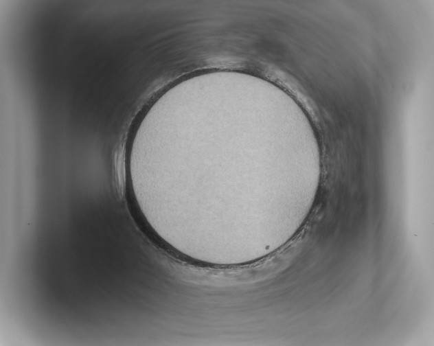 X0000100920011200807221126