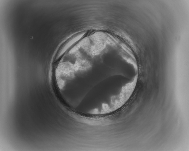 X0000100920012200807221126