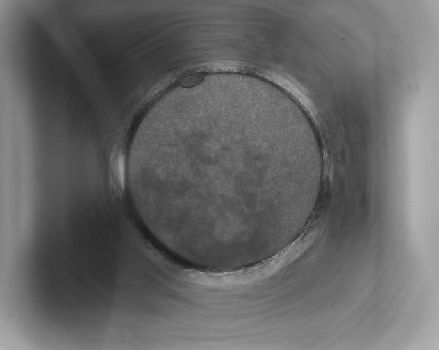 X0000100920013200807221126
