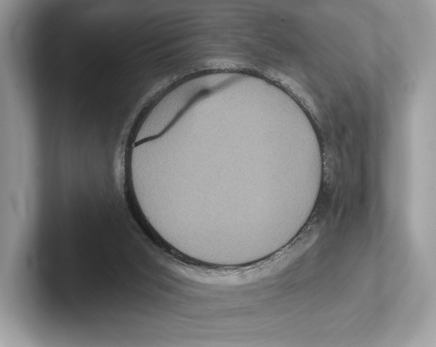 X0000100920015200807221126