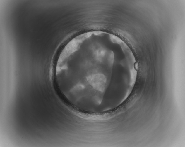 X0000100920016200807221126