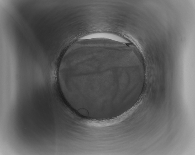 X0000100920017200807221125