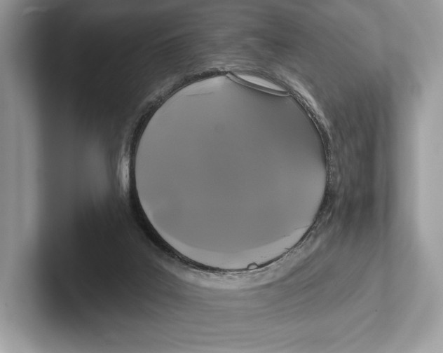 X0000100920019200807221125
