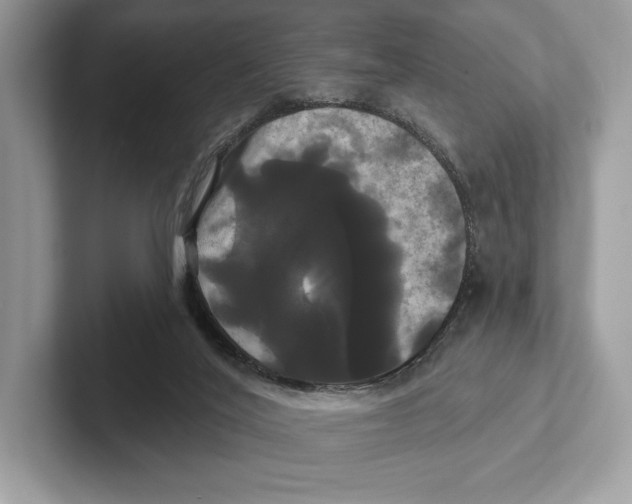 X0000100920020200807221125