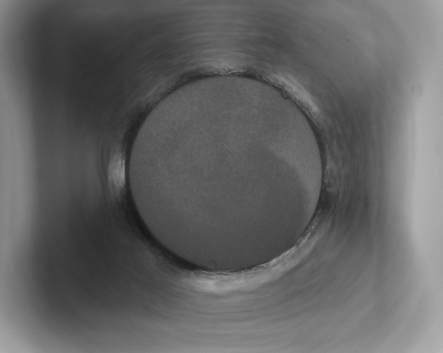 X0000100920021200807221125