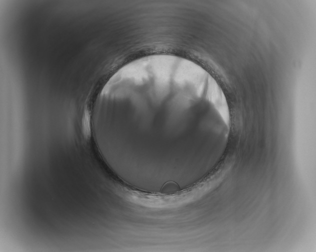 X0000100920022200807221125