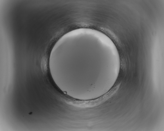 X0000100920023200807221125