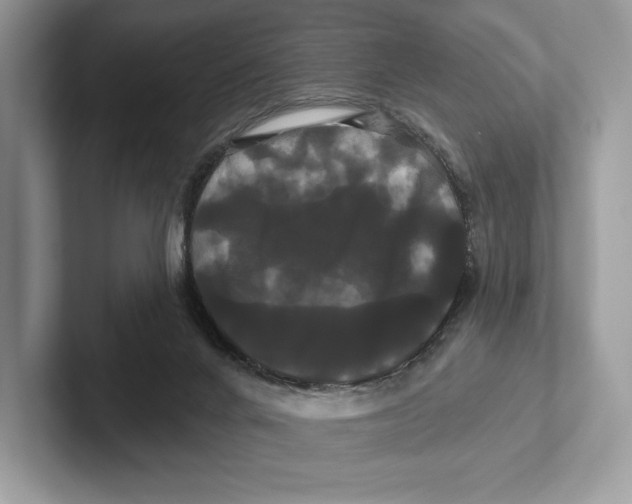 X0000100920024200807221125