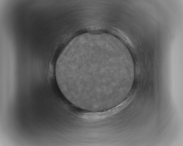 X0000100920025200807221125