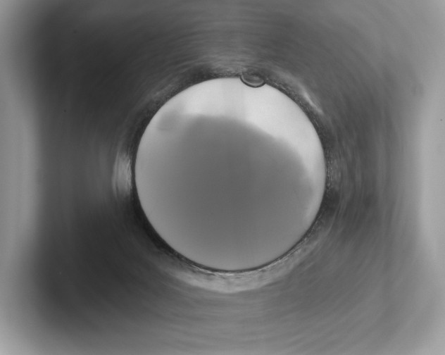 X0000100920027200807221125