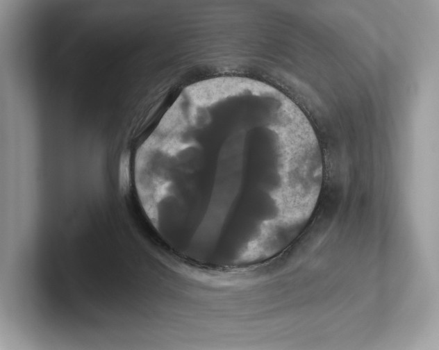 X0000100920028200807221125